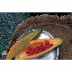 Snow Peak Tableware Plate L -Campings Zone snow peak 2022 tableware plate l 01927.1680263008